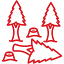 vegeterian management